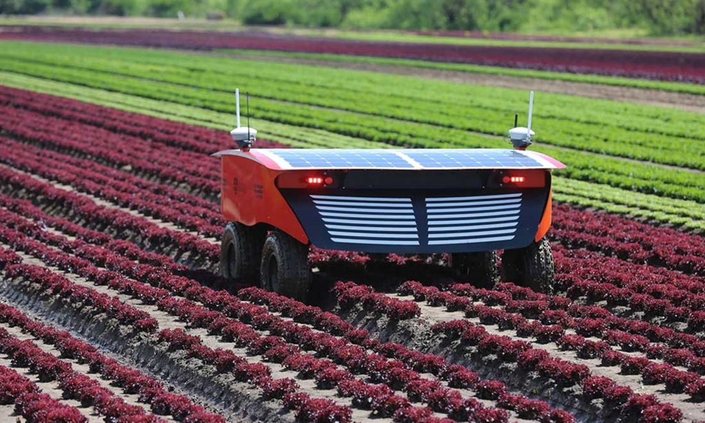 The Future of Agrobots and Farming