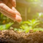 How to Restore Soil Health for Sustainable Farming: A Comprehensive Guide