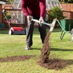 Top Dressing Lawn: How and Why