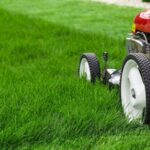 Grass Tastic: Unlocking the Secrets to a Lush Lawn – Reviews, Solutions, and FAQ