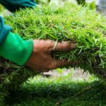 How to Fix a Patchy Lawn: A Comprehensive Guide to Revitalizing Your Yard