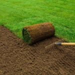 How to Lay New Lawn: A Comprehensive Guide with Reviews, Solutions, and FAQs