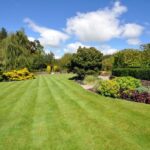Summer Lawn Care: A Comprehensive Guide to a Lush, Healthy Lawn