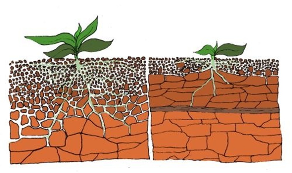 What are the causes of soil compaction in Quizlet