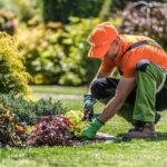 Unlock the Secrets of a Gardener’s Daily Routine: What You Need to Know!