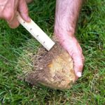 How Do You Remove Thatch Buildup? A Comprehensive Guide to Healthy Lawns