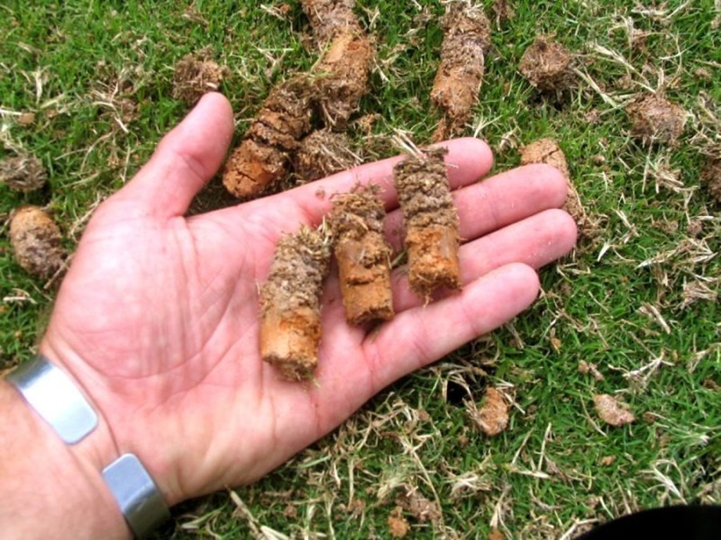 How do you remove thatch buildup