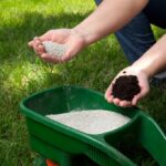 What is the Best Time to Apply Lawn Fertilizer?