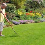 Step-by-Step Seasonal Lawn Care Guide | Year-Round Lawn Maintenance Tips