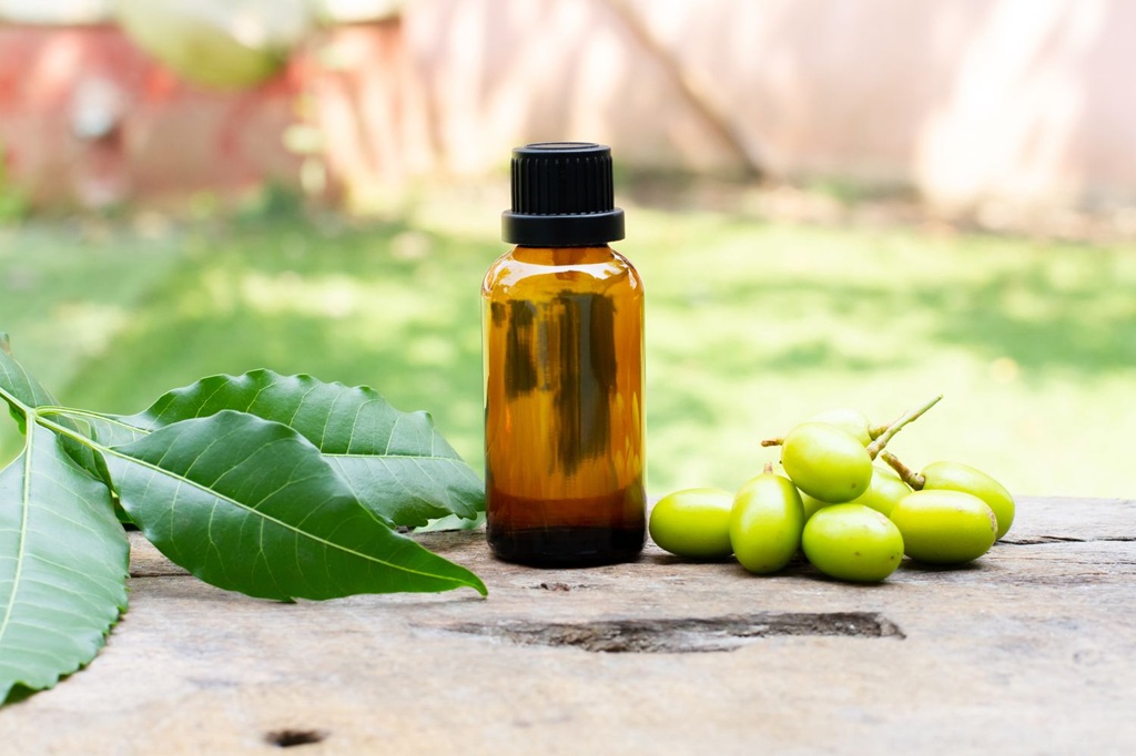 Neem Oil for Lawn Grub Control