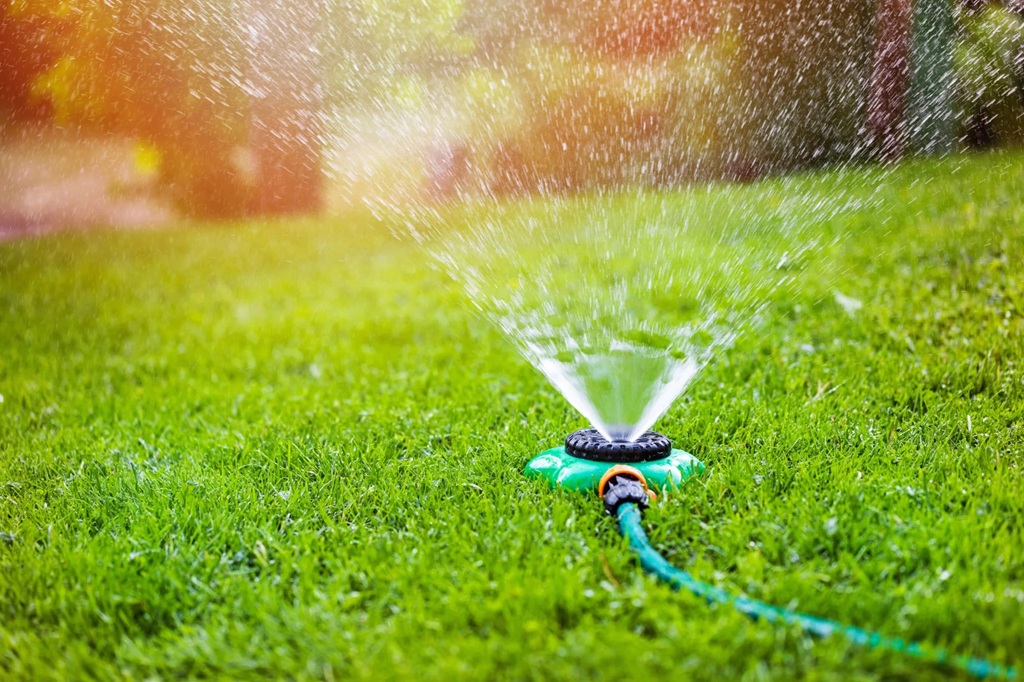 Best Time to Water Your Lawn