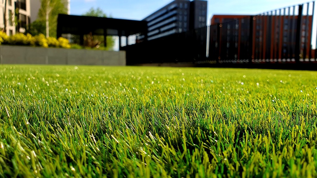 How to Plant Grass Seed on an Existing Lawn