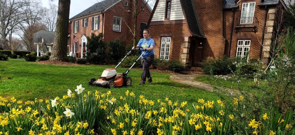 How can I convert my lawn to be more eco-friendly?