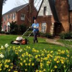 Eco-Friendly Lawn Care California: Safe, Green And Sustainable