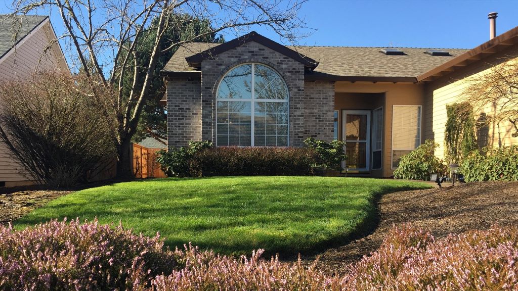 7. What are low-maintenance lawn alternatives for California?
