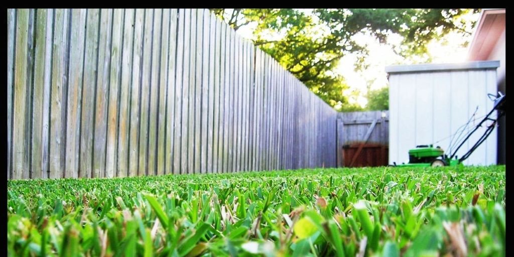 3.	How can I prevent my lawn from going brown in summer?