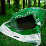 How Mycorrhizal Fungi Improve Lawn Growth Naturally