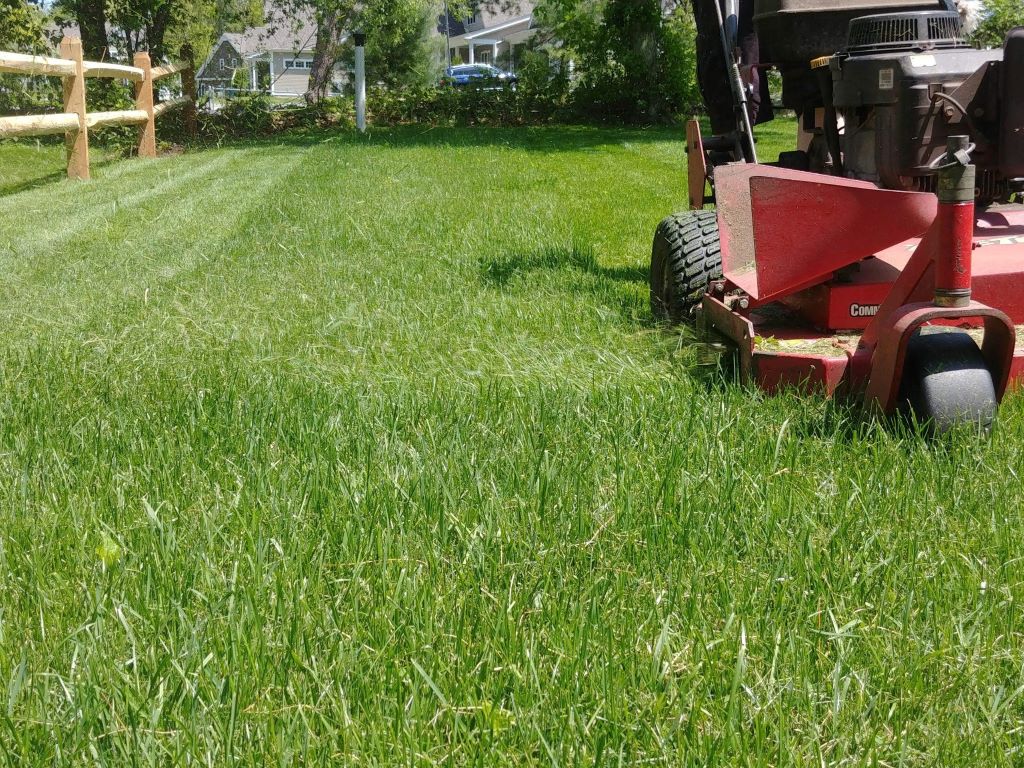 Can I use mycorrhizae on potted turf?