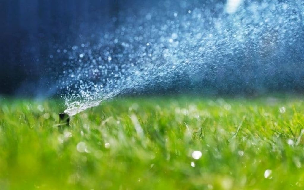 The Ultimate Guide to Lawn Watering