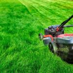 How Often Should You Water and Mow Your Lawn?