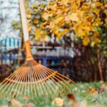 How to Prepare Your Lawn for Winter: Seasonal Care Tips