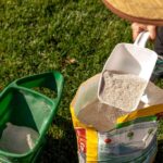 Organic Lawn Fertilizers Reviewed: What’s Best for a Green Lawn?