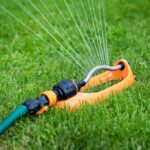 Summer Lawn Care Guide: Keep Your Grass Green in the Heat