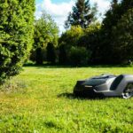 Robot Lawn Mower Reviews: Are They Worth the Investment?