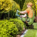 Seasonal Lawn Maintenance: What to Do Each Season for a Healthy Lawn