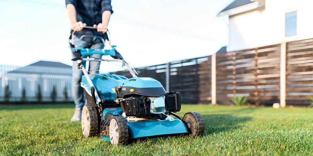 Best lawn mower for a small garden 2025