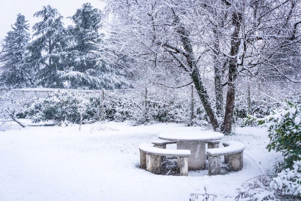 Preparing Your Lawn for Winter: Tips to Protect Your Grass
