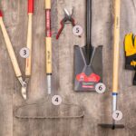Top Lawn Care Tools Every Gardener Should Own