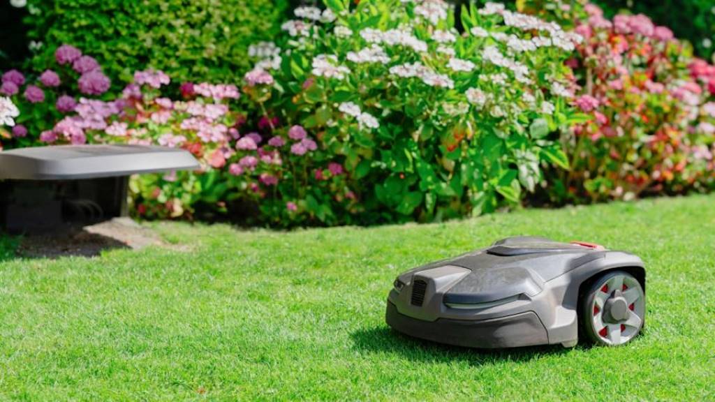 All Weeds Require Harsh Chemicals