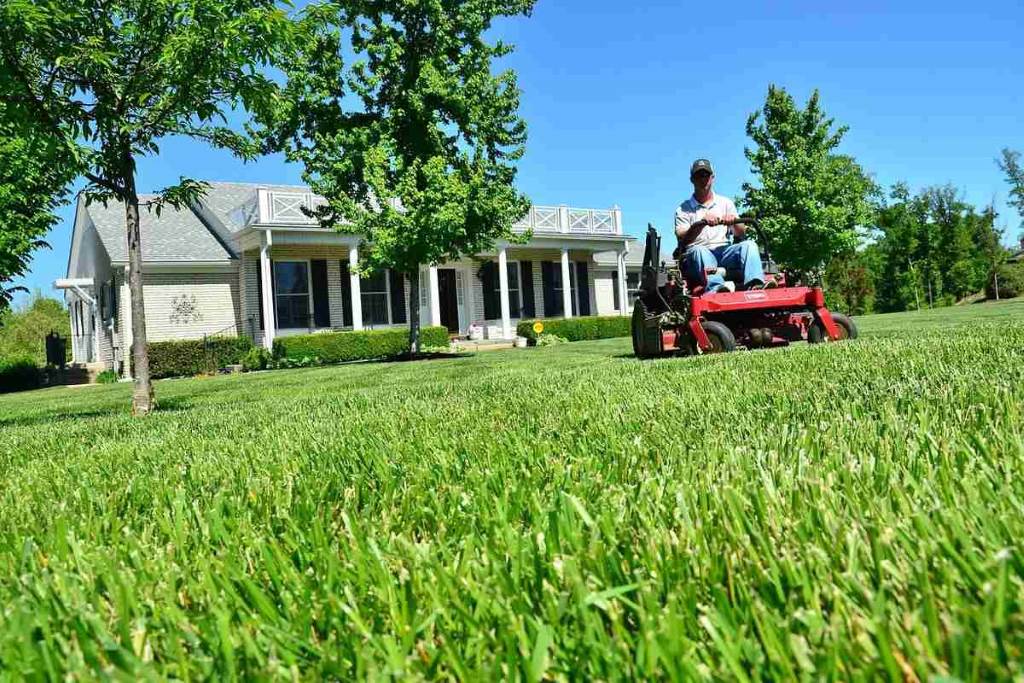 Lawn Care Schedules for Different Seasons: A Comprehensive Guide