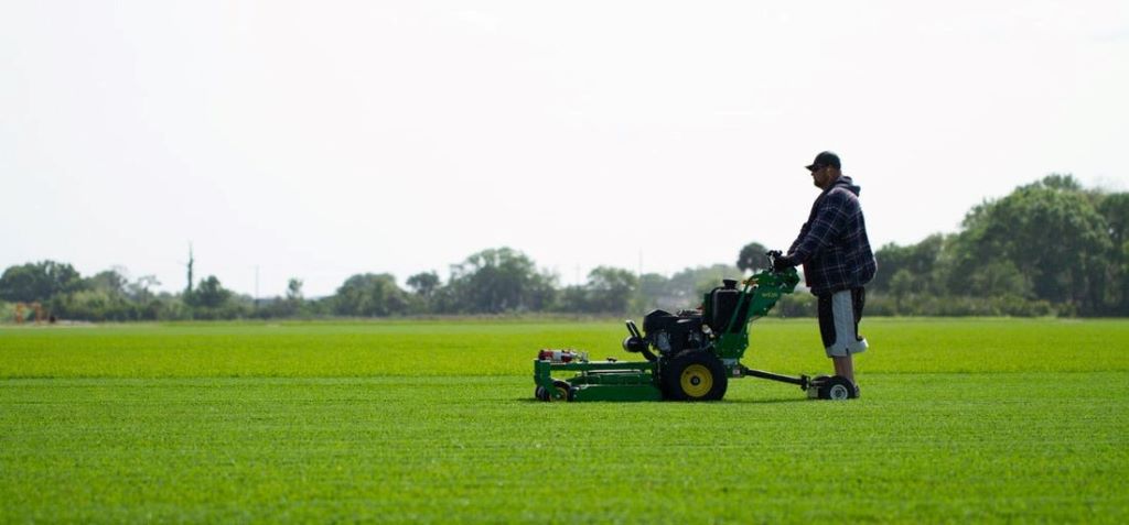 The Most Common Lawn Care Mistakes (and How to Avoid Them)