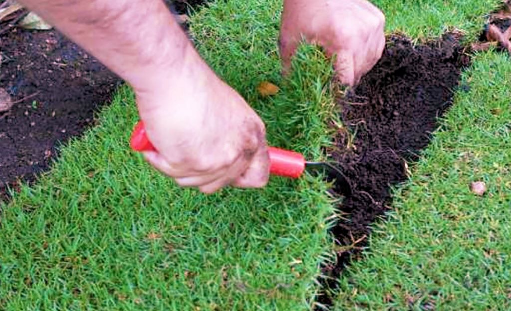 Close-up of a homeowner repairing patchy grass spots with seed and soil for a healthy, lush green lawn