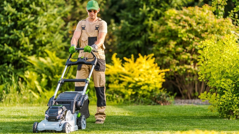 Person mowing a lush green lawn with a push mower, illustrating effective lawn cutting tips for a healthier, well-maintained yard