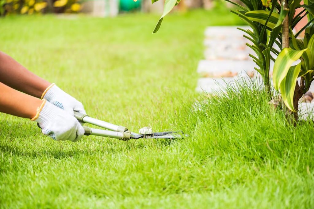Illustration of common lawn problems like brown patches, weeds, and pests, with solutions to fix them quickly and maintain a healthy green lawn