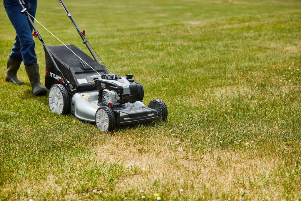 Patchy brown lawn with dry, dying grass showing signs of poor lawn care and tips on how to revive it