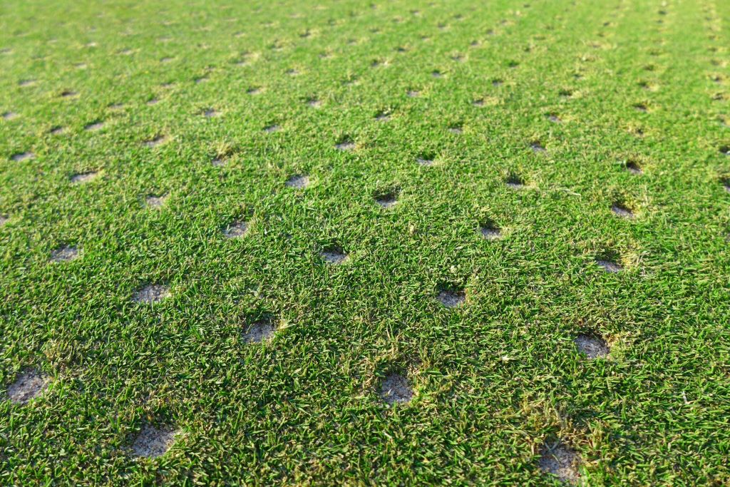 Lush, green lawn after aeration with visible soil plugs and healthy grass growth, illustrating the benefits of lawn aeration for thicker grass