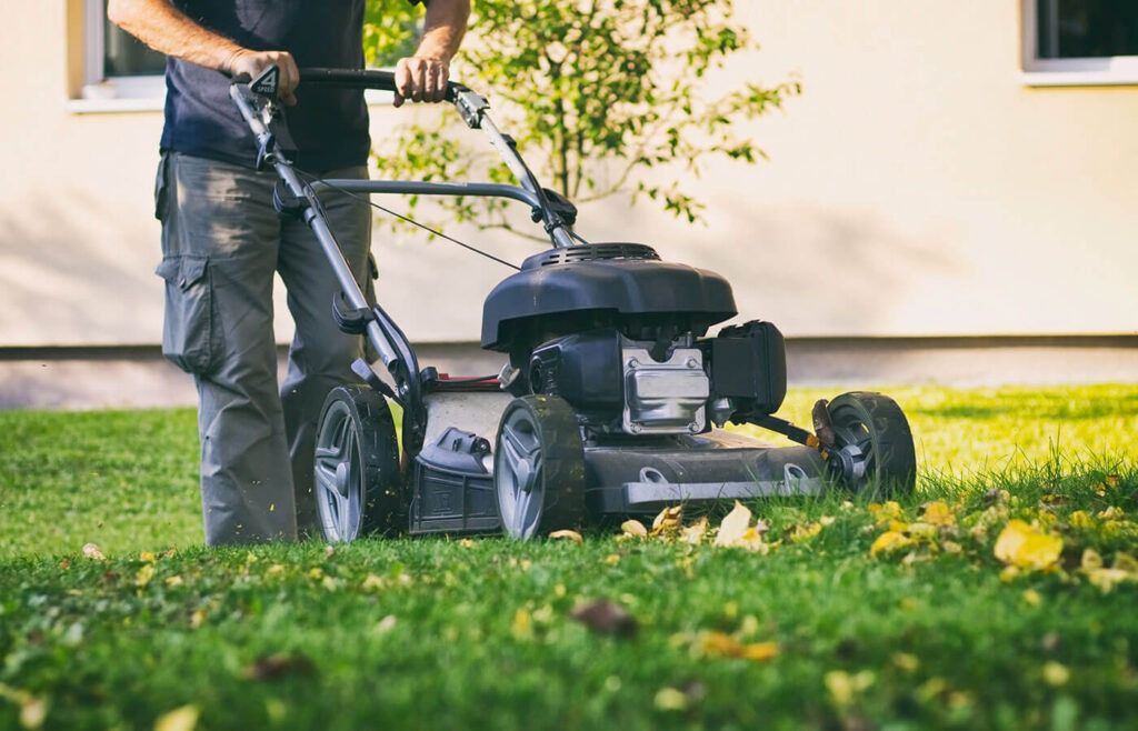 Are You Mowing Your Lawn the Wrong Way?