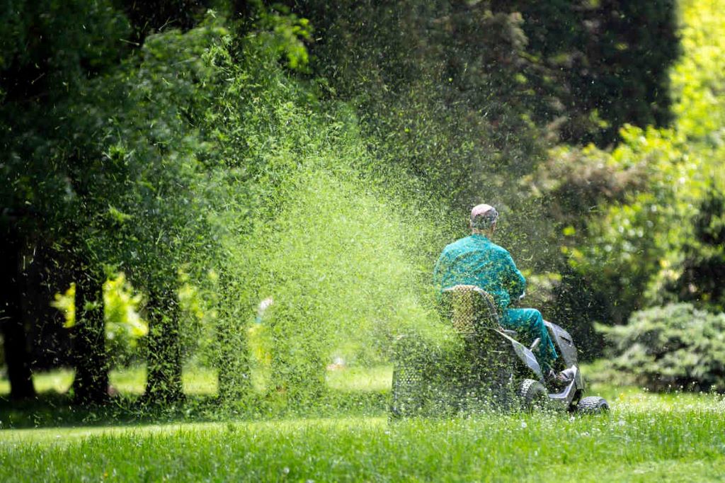 Person mowing lawn with uneven stripes, illustrating common lawn mowing mistakes