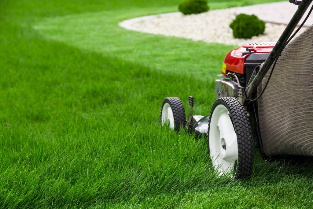 Mowing Wet Grass Consequences