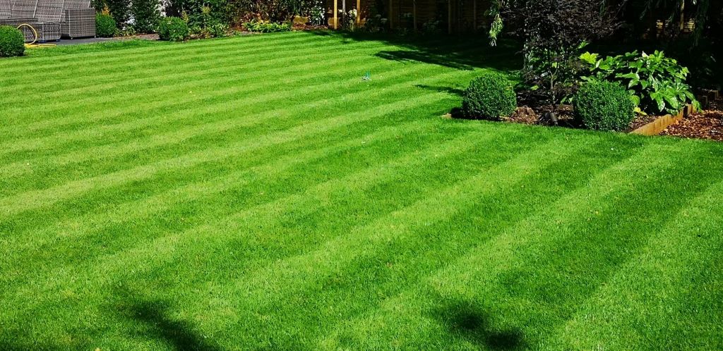 Lush green lawn being watered and maintained for year-round health and freshness