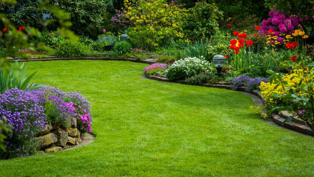 Beautiful well-maintained lawn showing even grass growth across all seasons